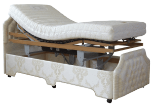 Orwood Nursing Bed