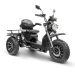 Invader All Terrain Mobility Scooter