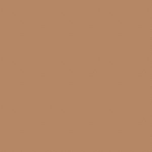 Dartex Beige Swatch